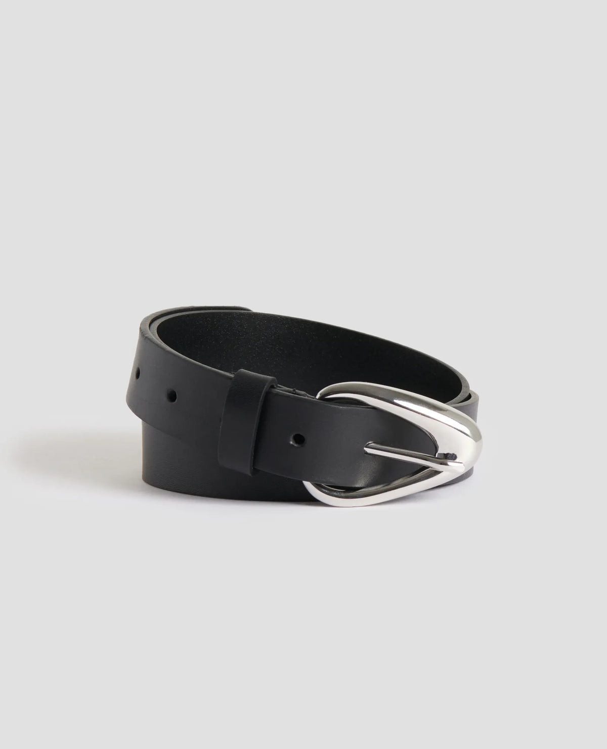 H091 BLACK BEAUTY