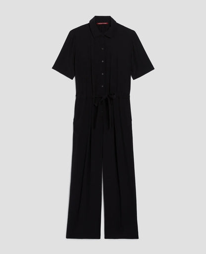 H091 BLACK BEAUTY