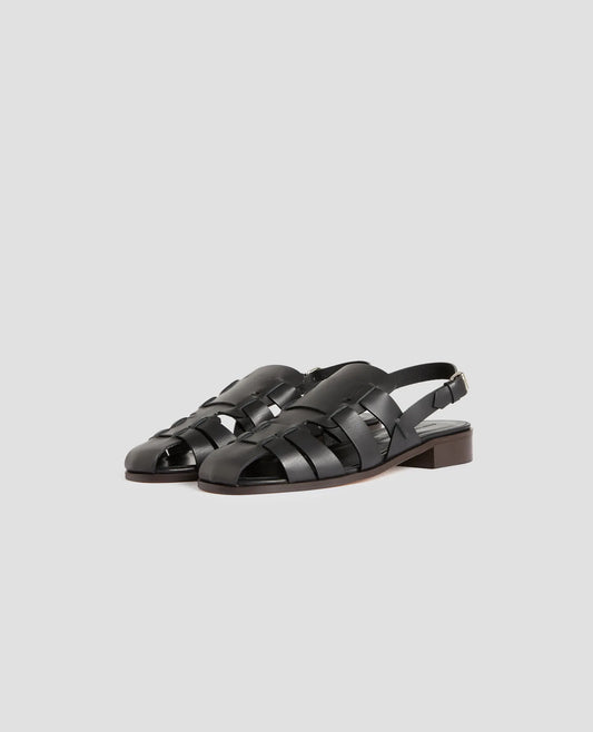 H091 BLACK BEAUTY