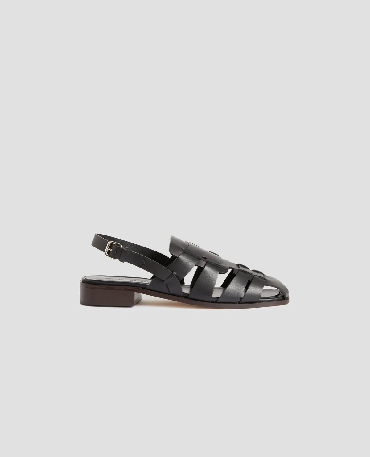 H091 BLACK BEAUTY