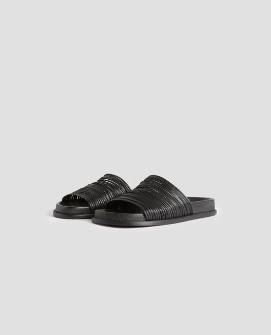 H091 BLACK BEAUTY