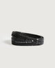 H091 BLACK BEAUTY