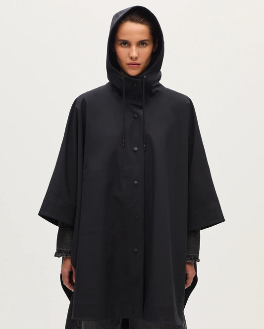 H091 BLACK BEAUTY