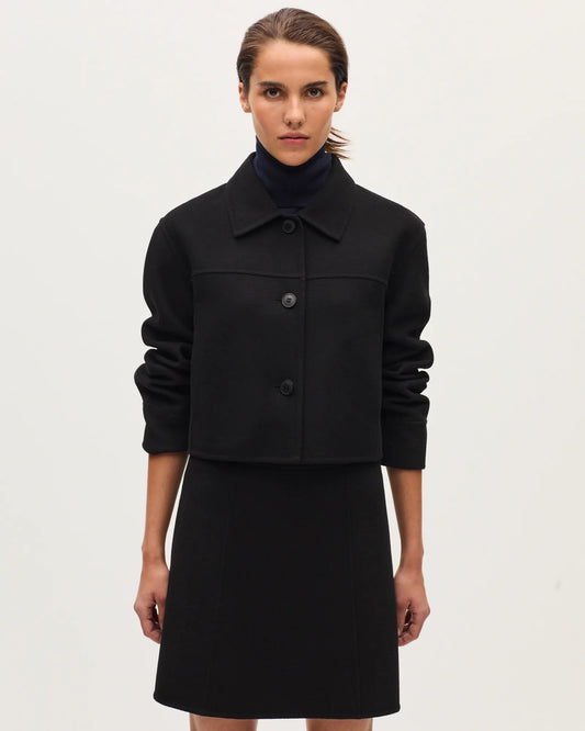 H091 BLACK BEAUTY