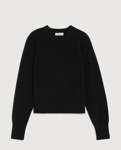 H091 BLACK BEAUTY