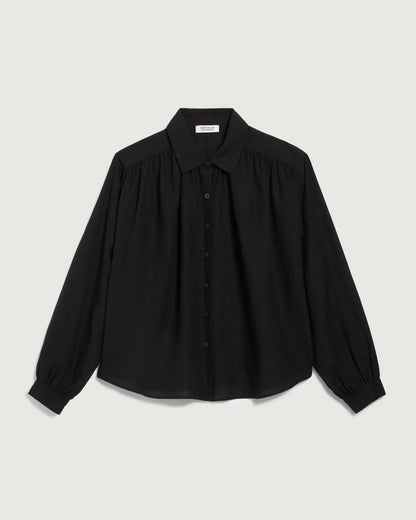 H091 BLACK BEAUTY