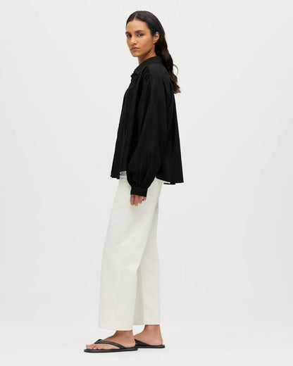 H091 BLACK BEAUTY
