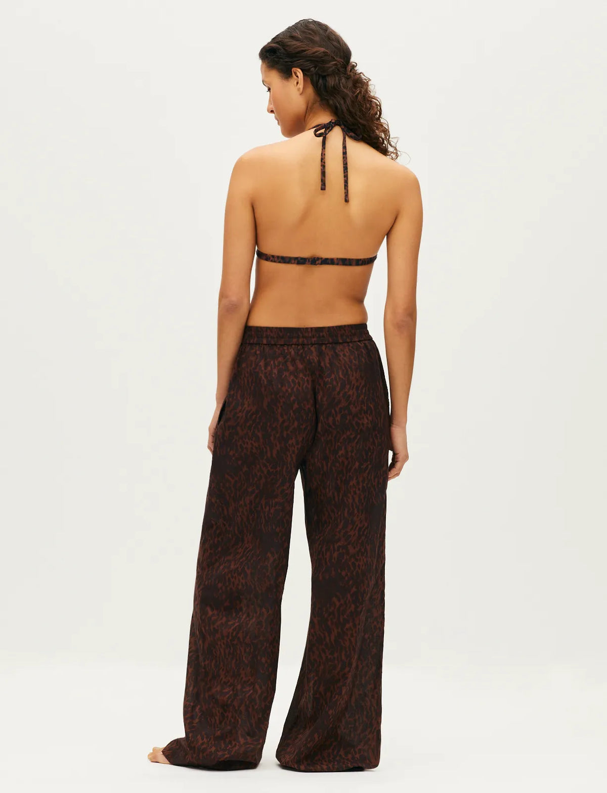 leopard brown