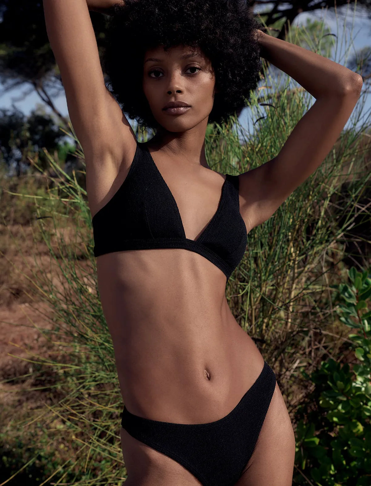Black Beauty