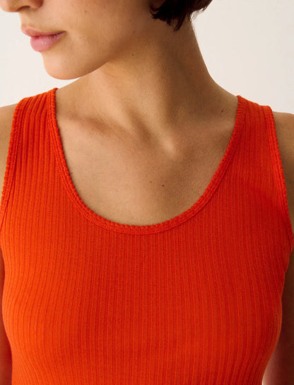 Tango orange